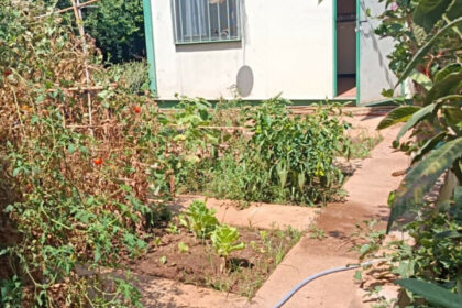 e8aad0cdcd78beae2d5b1ba55b4e4729 - 18