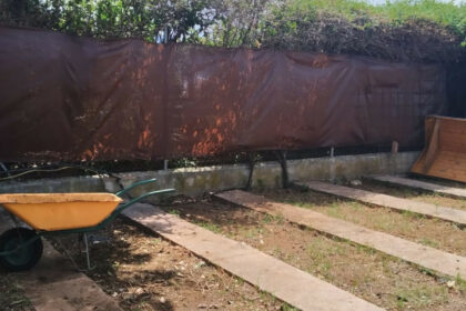 e8aad0cdcd78beae2d5b1ba55b4e4729 - 19