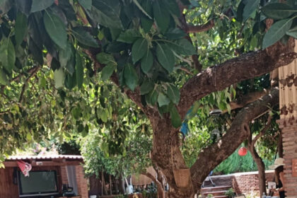 e8aad0cdcd78beae2d5b1ba55b4e4729 - 7