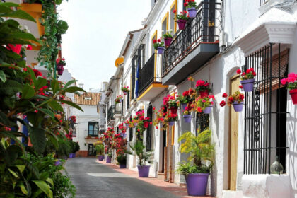 e9cd2a0dd4f4c58828c6886a6bf0b401 - 1