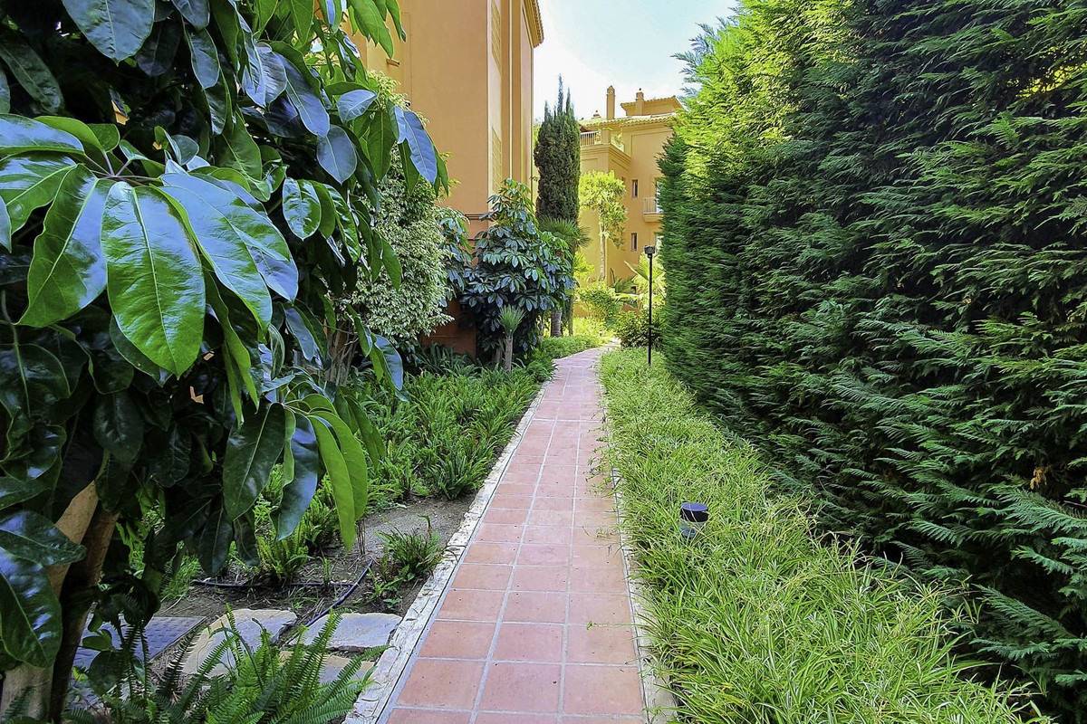 f0951fb37564f3d1cbff0bdbd526cb8f - 21