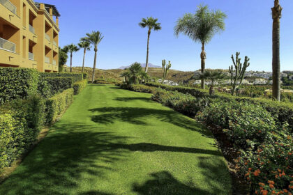 f0951fb37564f3d1cbff0bdbd526cb8f - 24