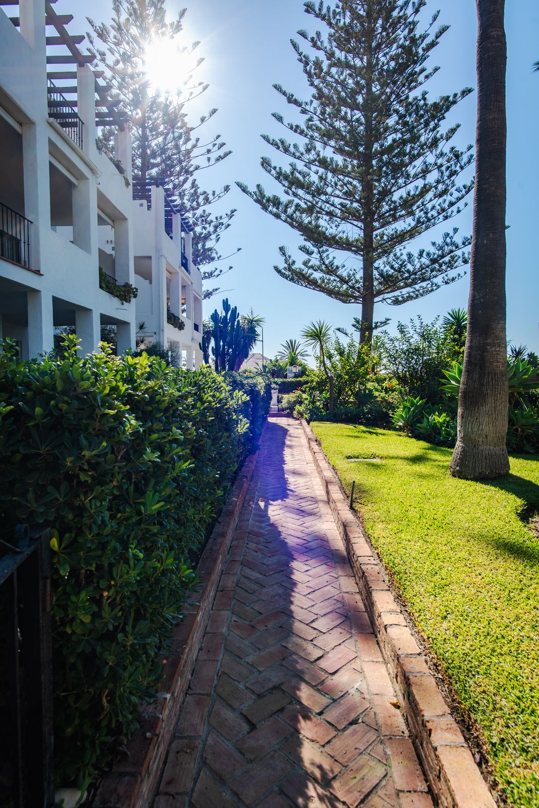 f0e08d8f46a2d7662d9f5c56ba28d9bf - 8