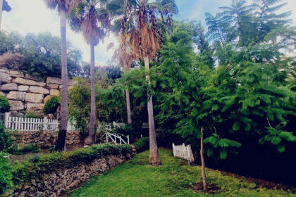 f136b071366b01a3c0d430b2e167c246 - 31