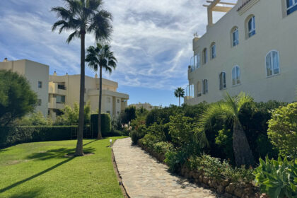 f1a6430e988243c64cbf9cd3c3a8289e - 29