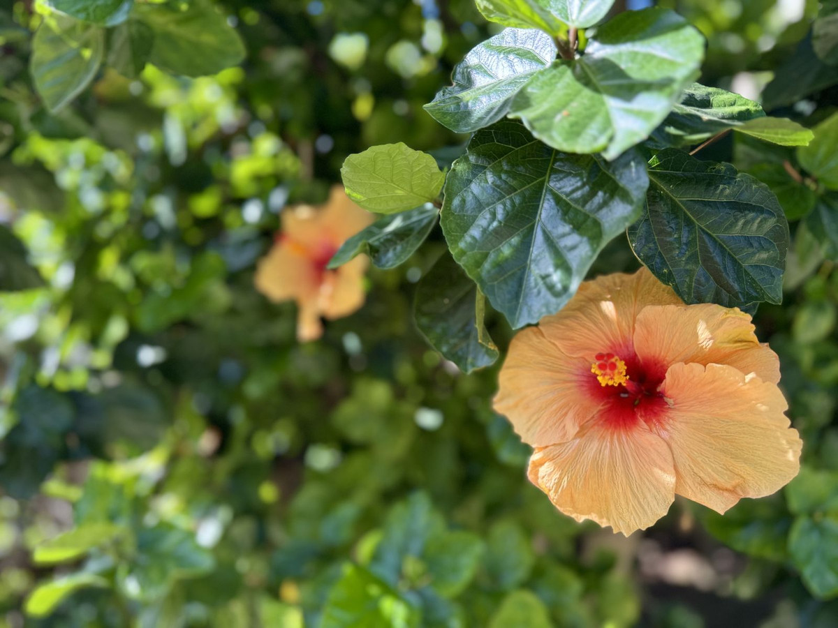 f1a6430e988243c64cbf9cd3c3a8289e - 31