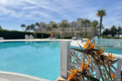 f1a6430e988243c64cbf9cd3c3a8289e - 33