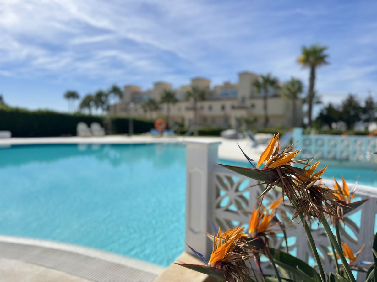 f1a6430e988243c64cbf9cd3c3a8289e - 33