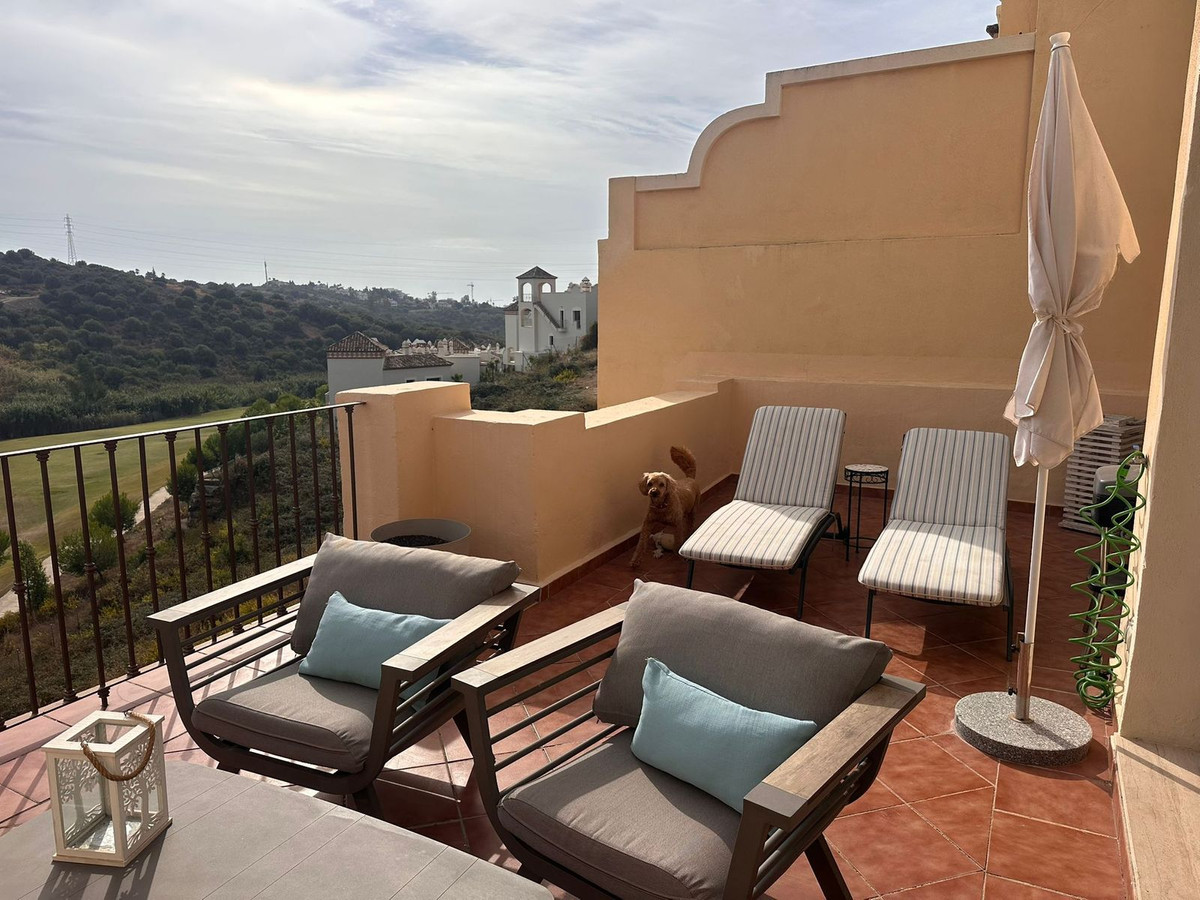 f362c9cb4605ffce3a111c0120ddb125 - 37