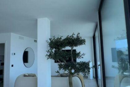 f38210f4351274a569642b4cf929cc41 - 7