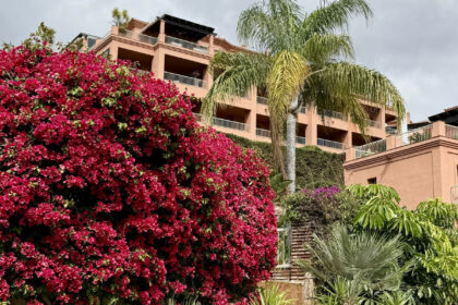 f3cf2d374e11e9477e44ba3cb3ba1381 - 16