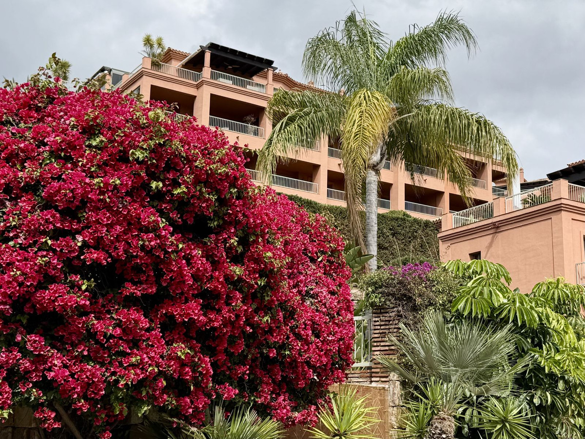 f3cf2d374e11e9477e44ba3cb3ba1381 - 16