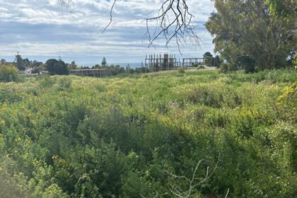 f3ed5d5f91602898940301b884340537 - 1