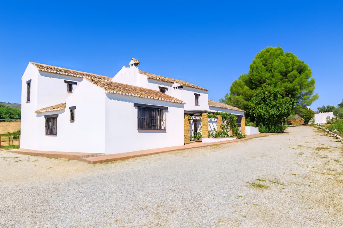 f50e2bde61299fa7cb166917e12b06b7 - 29