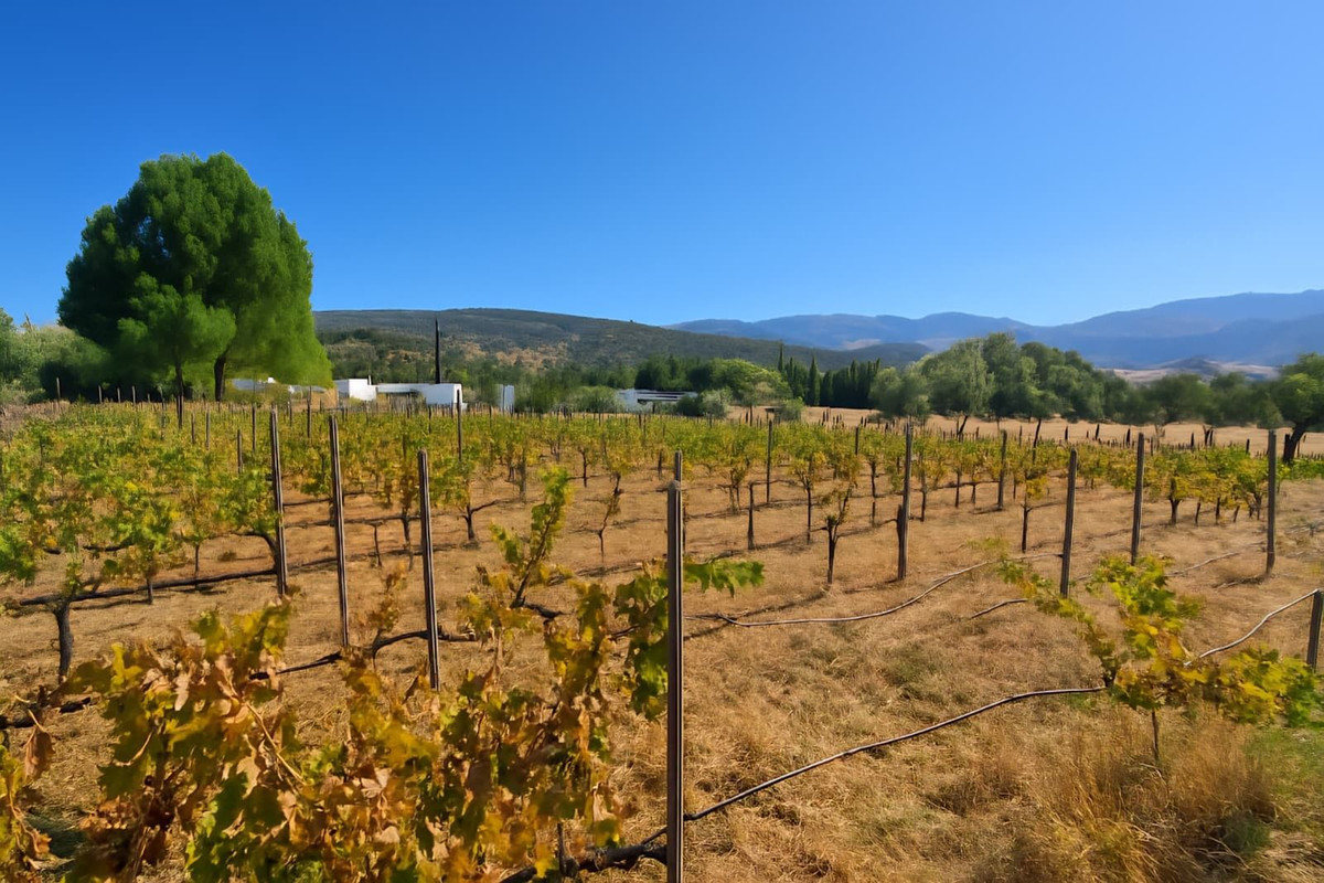 f50e2bde61299fa7cb166917e12b06b7 - 30