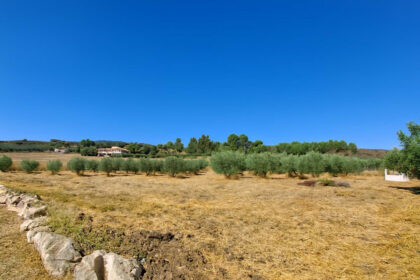 f50e2bde61299fa7cb166917e12b06b7 - 37