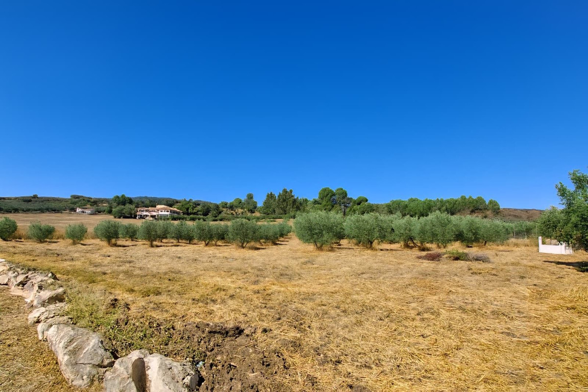 f50e2bde61299fa7cb166917e12b06b7 - 37