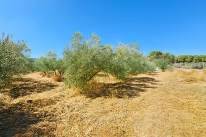 f50e2bde61299fa7cb166917e12b06b7 - 38