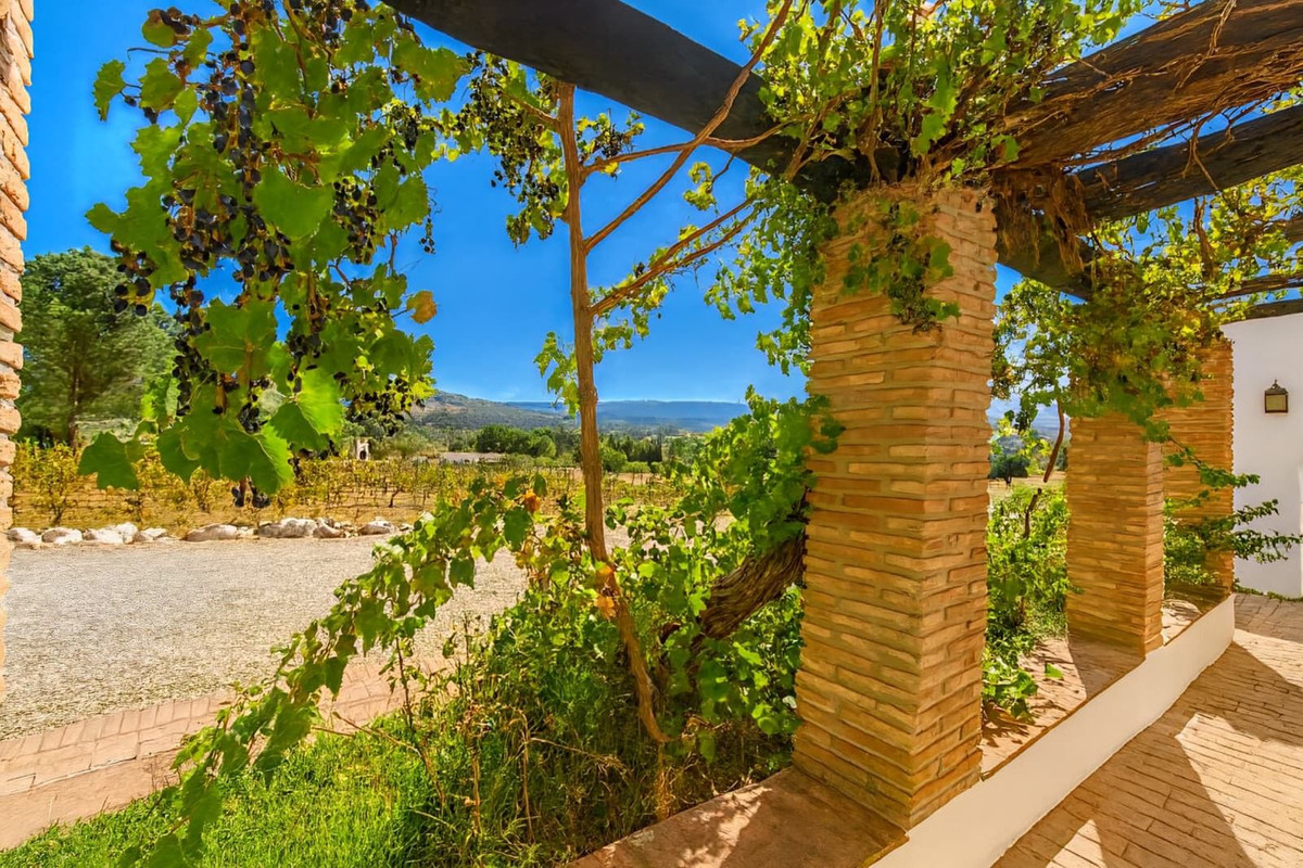 f50e2bde61299fa7cb166917e12b06b7 - 39