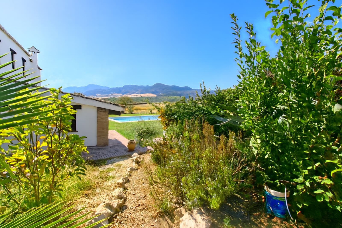 f50e2bde61299fa7cb166917e12b06b7 - 4