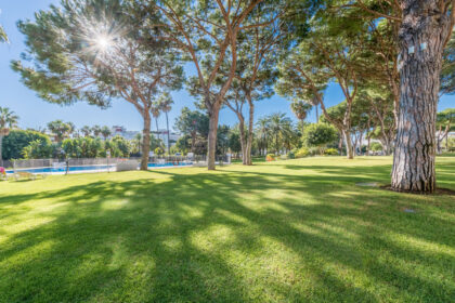 f8f672bdc7ea005928bf797614a4fd66 - 30