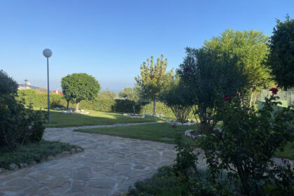 f9596a0331a0d5504021b19c115aadf6 - 49