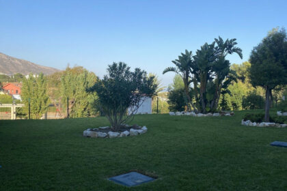 f9596a0331a0d5504021b19c115aadf6 - 50