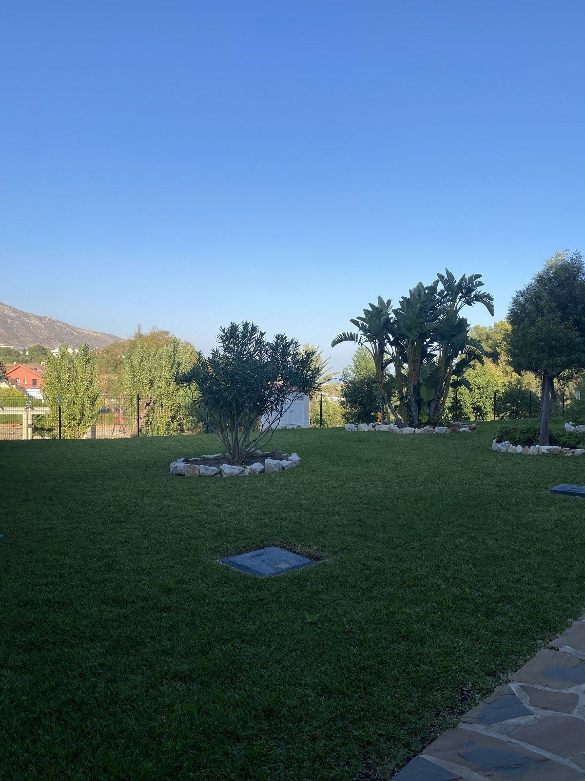 f9596a0331a0d5504021b19c115aadf6 - 50