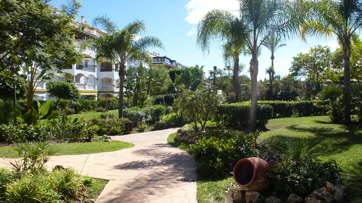 fa16a49627a5842687d8b2808a85ad08 - 24