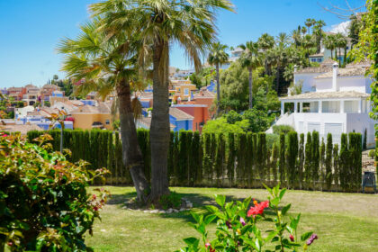 facf0e118ffbcbd964387674dd4c9da8 - 31