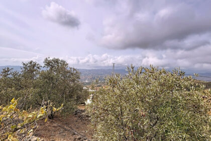 fc88b2a161fc705061cd32e18dde0568 - 35