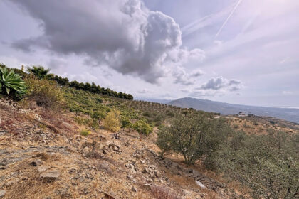 fc88b2a161fc705061cd32e18dde0568 - 37