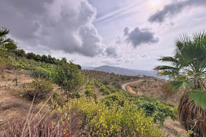 fc88b2a161fc705061cd32e18dde0568 - 40