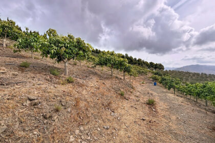 fc88b2a161fc705061cd32e18dde0568 - 43