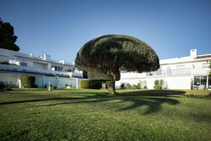 fd8482aeaa10540d5ba60e70262474bf - 20