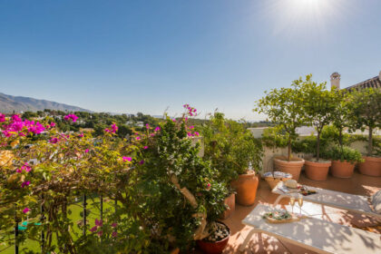 fdd306987e08d6dc66d9234a1b3fd80c - 39