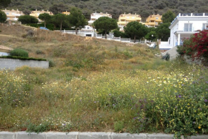 fdf1bf5bfdbb2c962d58a8f37c16214a - 5