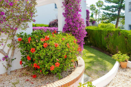 fe90b15d01db8be75dc9b680809ad135 - 32