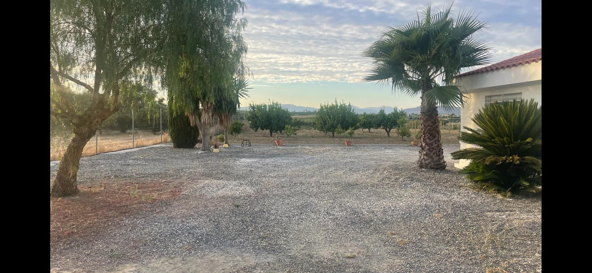 ff717fc80a92750a5ceff6c3776baa6d - 19