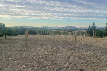 ff717fc80a92750a5ceff6c3776baa6d - 20