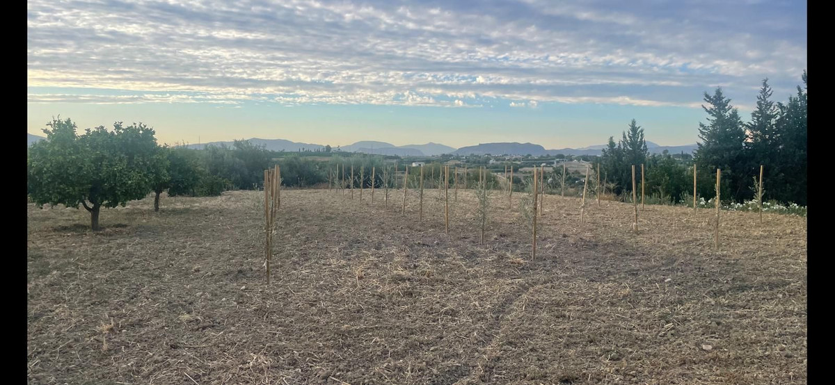 ff717fc80a92750a5ceff6c3776baa6d - 20