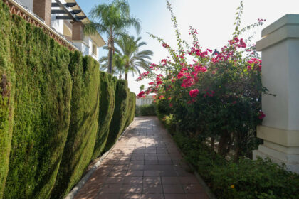 ff79bab3e59abb60c2dbed1c95ed1c43 - 47