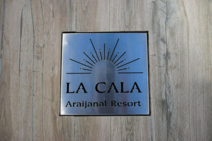 ff8c9d0a87cd37ba62e0eb3b866072fc - 20