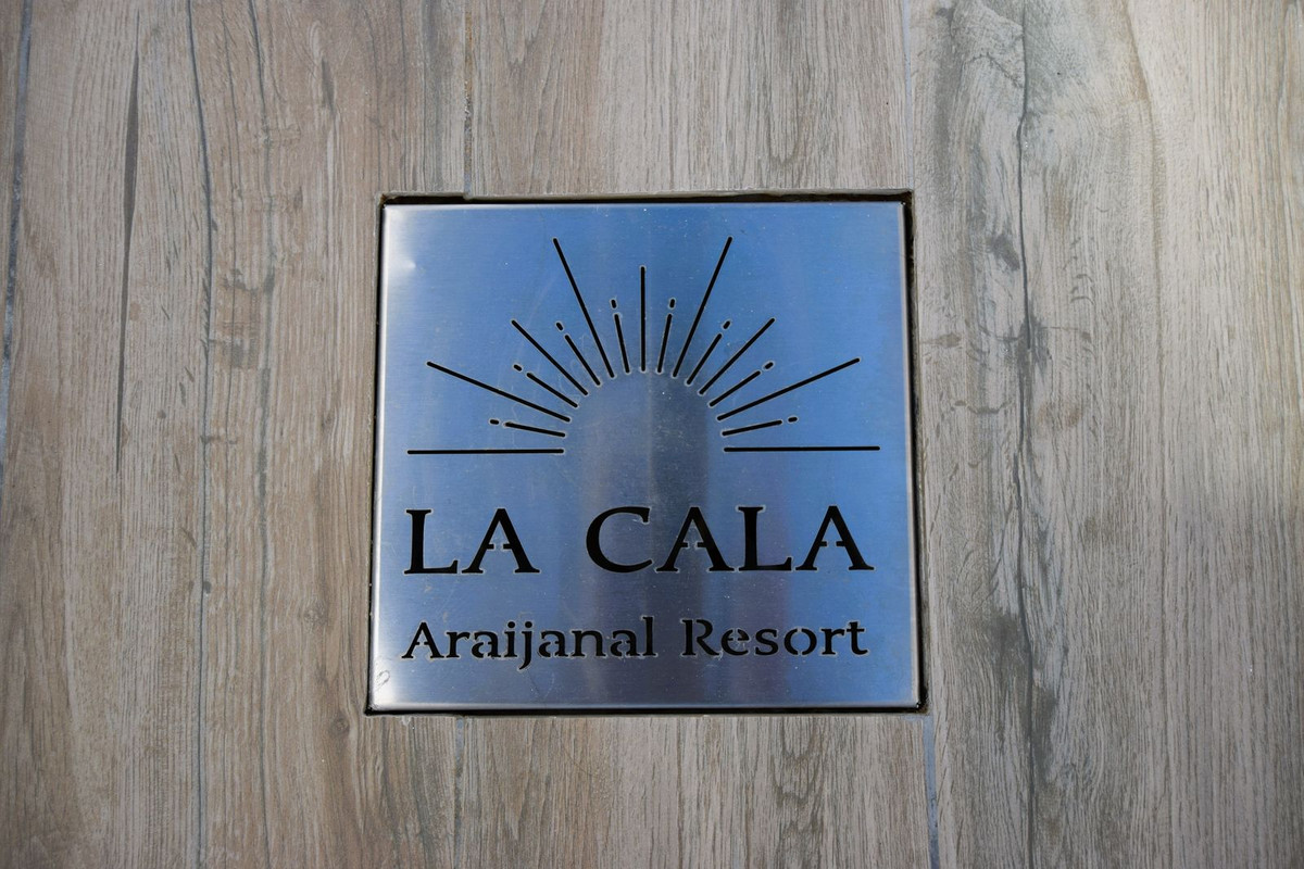 ff8c9d0a87cd37ba62e0eb3b866072fc - 20