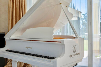 ff90aee112f36d0947a485e7da402767 - 12