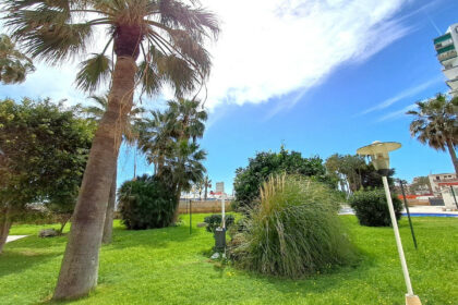 ffd95613c6a2a4302840df3a80088c8b - 12