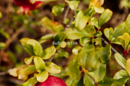 02025f46e5e4000feaf714eecb128c28 - 26