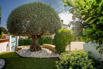 024bd6d30f59fc74e687b0d0d96b9199 - 7