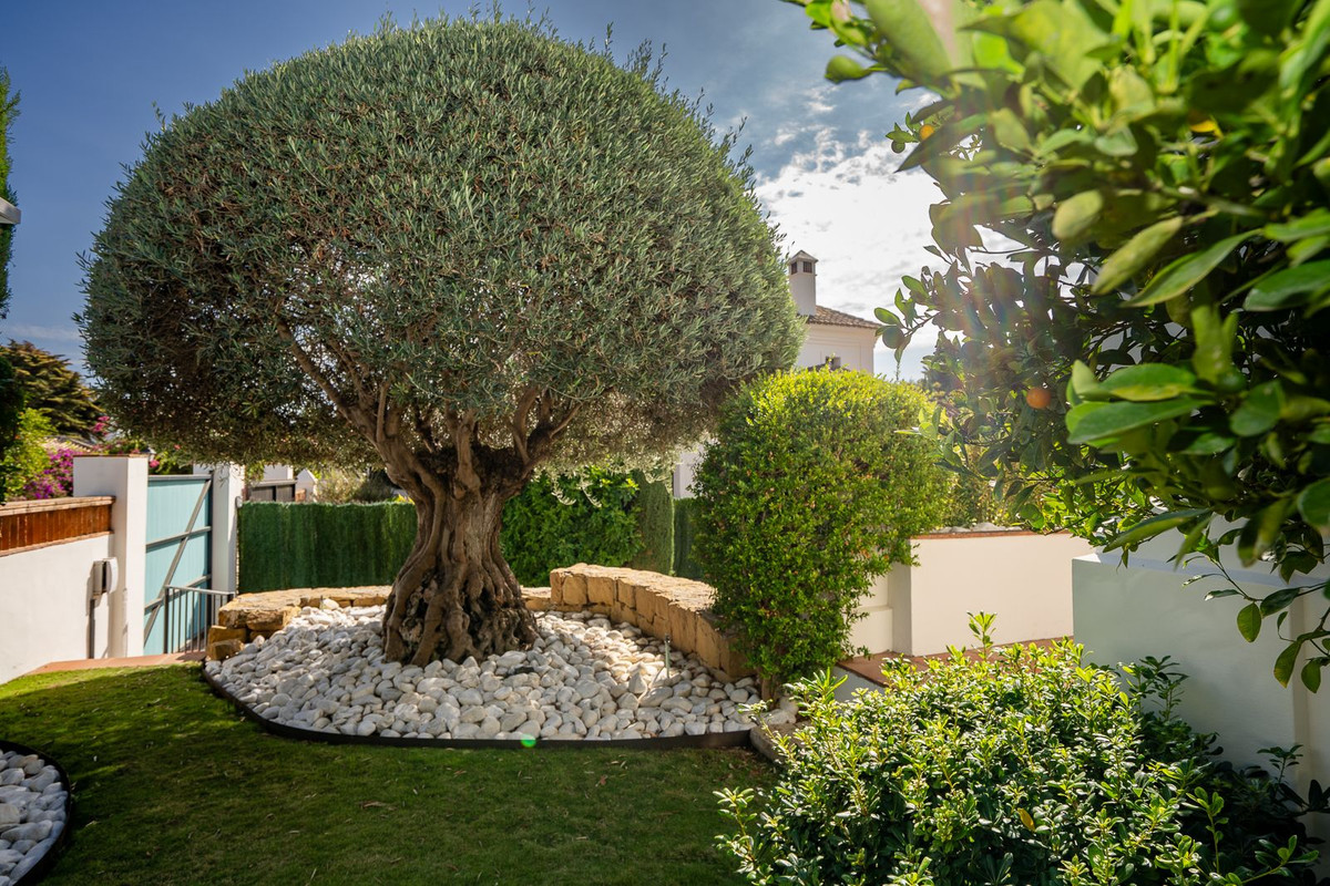 024bd6d30f59fc74e687b0d0d96b9199 - 7