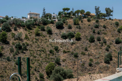 025fefa628e46501f8e3ab369cee48db - 24